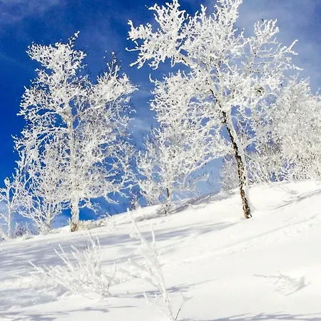 Appartamento 4 Person In Geilo-by Traum Geilo