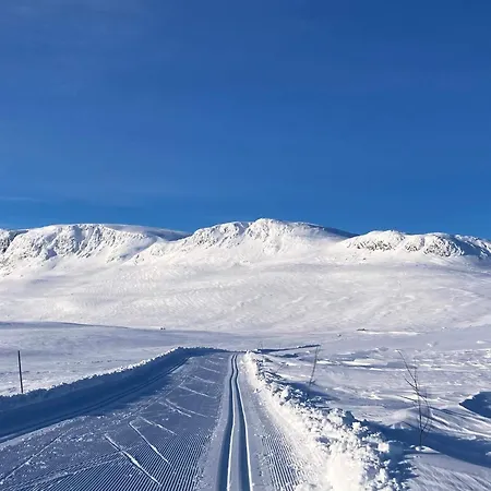 Apartment 4 Person In Geilo-by Traum